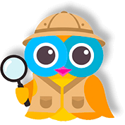 Flying Owl Animation