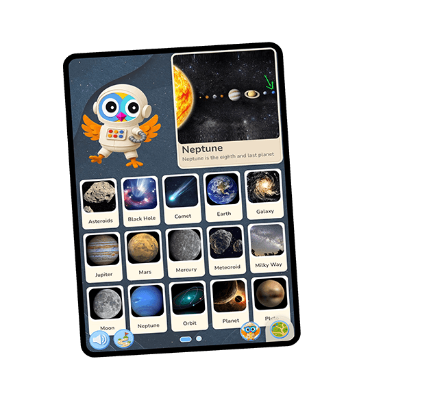 Wikids — curiosity is for life