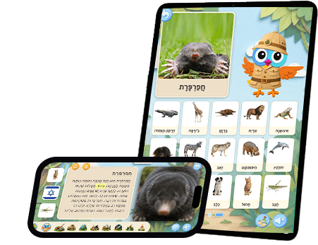 אפליקציית ויקידס — מפת העולם של הנושאים