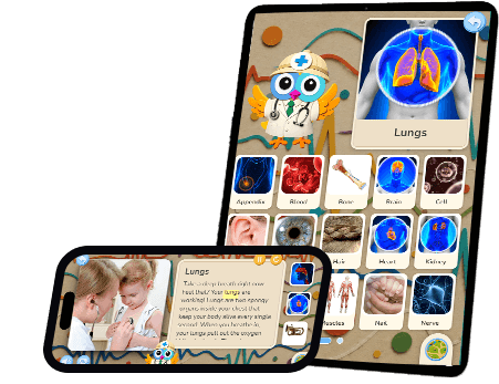 Wikids app — exploring the human body